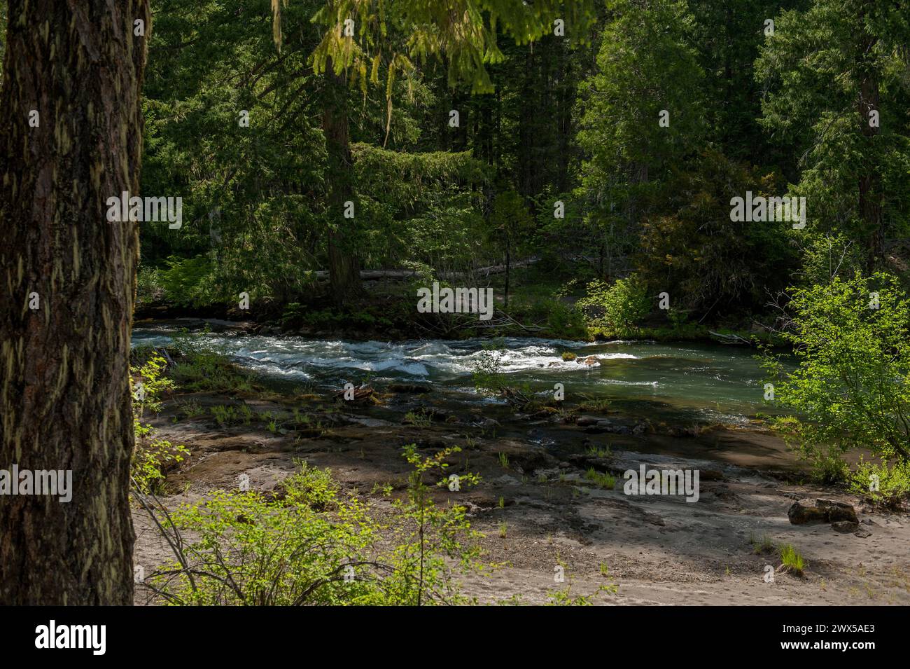 A fine spring day on the upper Rogue River, Oregon Stock Photo