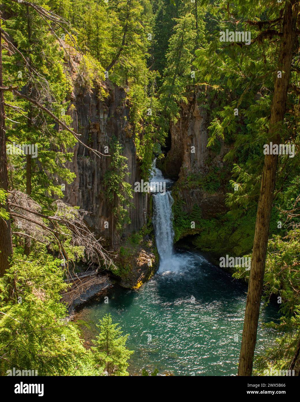 Oregon's Toketee Falls on the North Umpqua River Stock Photo