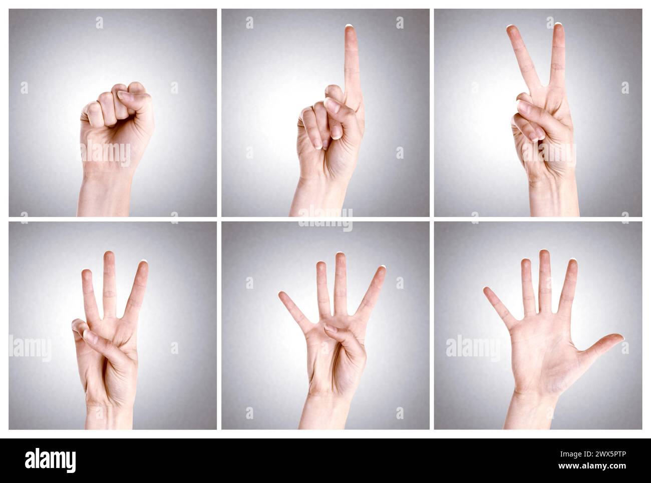 Fingers, mathematics and sign numbers in studio for counting or education purpose on gray background. Vote, review or count down shown in language for Stock Photo