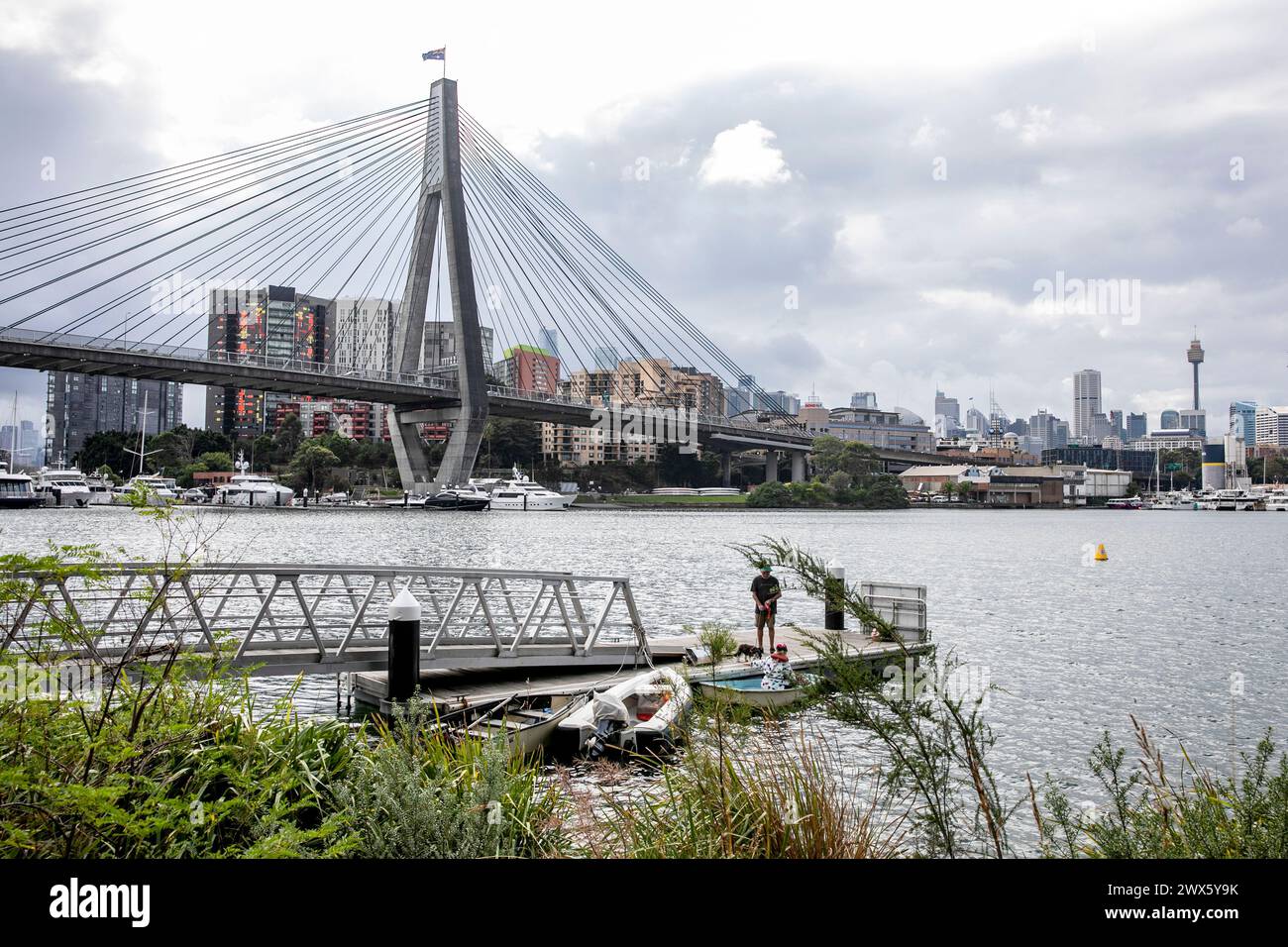 Blackwattle Bay park and pontoon with view of Anzac Bridge cables and pylons and Sydney city centre and tower, NSW,Australia,2024 Stock Photo
