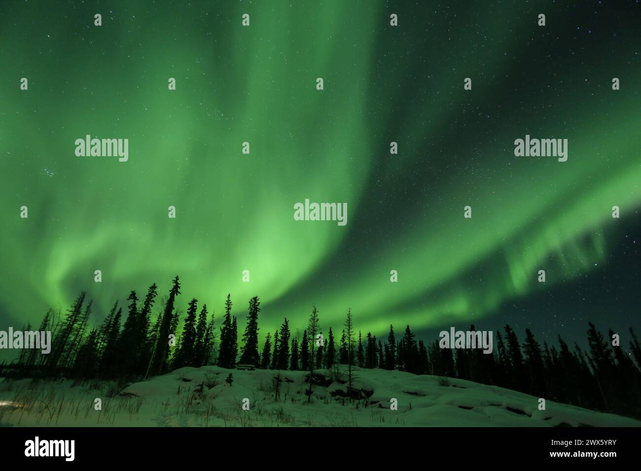 Vibrant green Northern Lights in the night sk Stock Photo