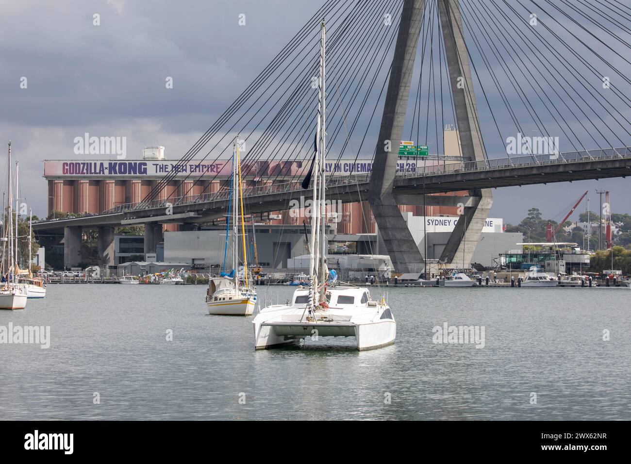 Anzac Bridge in Sydney, famous landmark bridge connecting Pyrmont to Glebe Island, opened in 1995, Sydney city centre,NSW,Australia Stock Photo