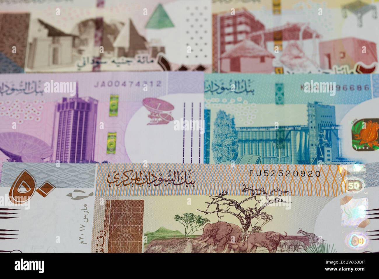 Sudanese money - pound a business background Stock Photo