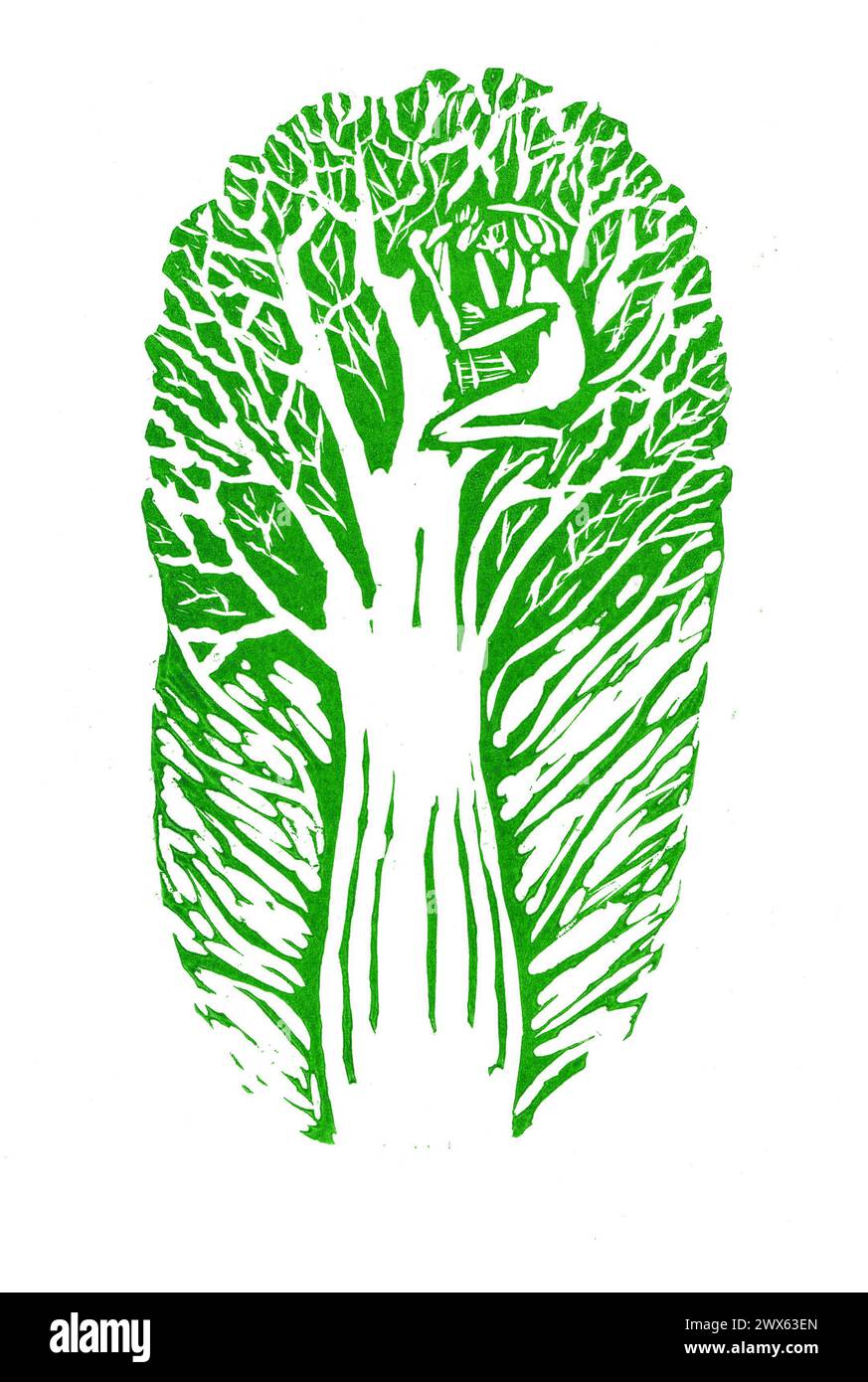 Chinese cabbage isolated on white background. Stylized illustration. Linocut. Printmaking technique. Green color. Cabbage like tree. Barely noticeable person is sitting on it. Healthy Eating. Ecology. Stock Photo