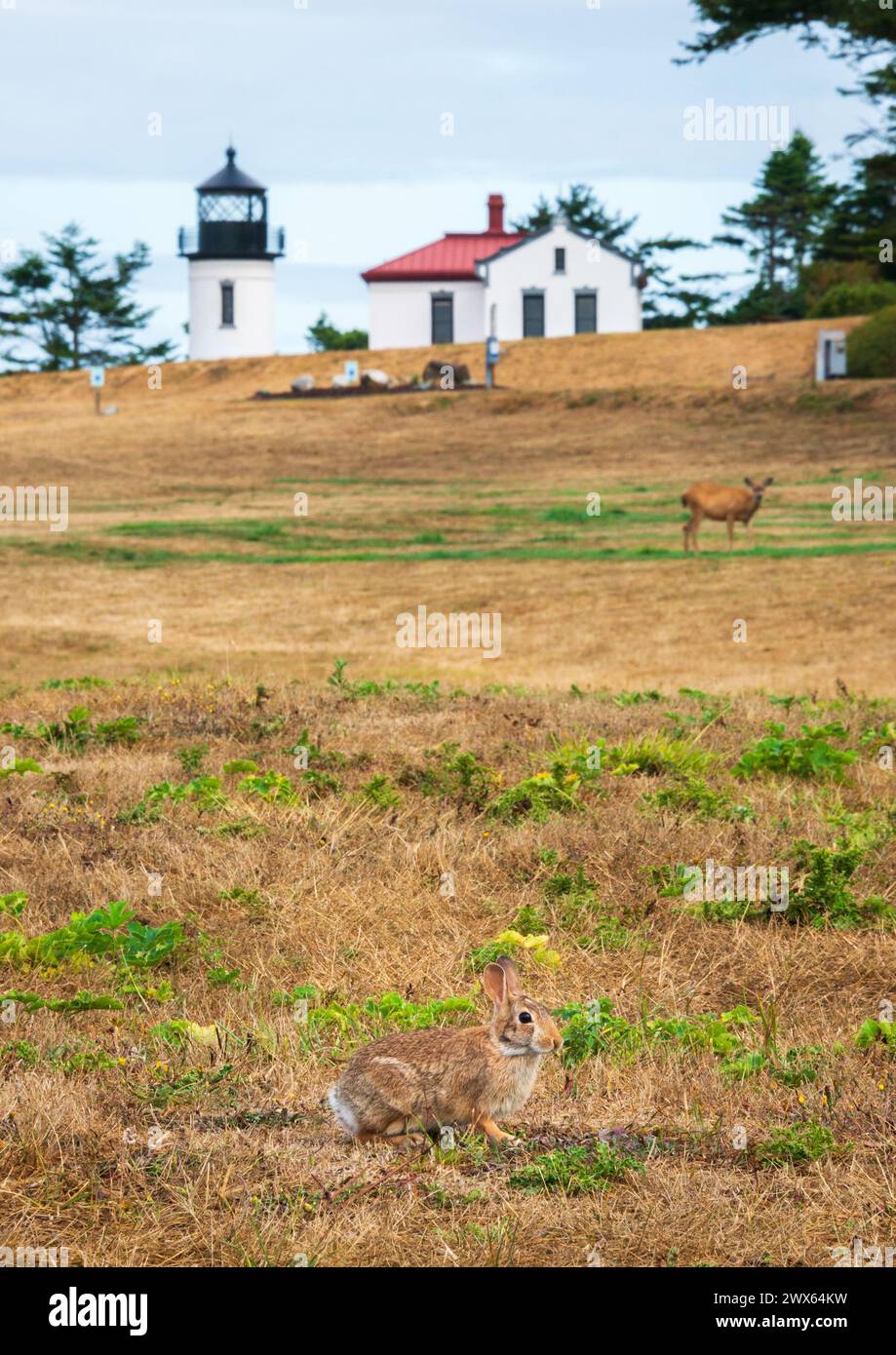 Fort Casey State Park on Whidbey Island, in Island County, Washington ...