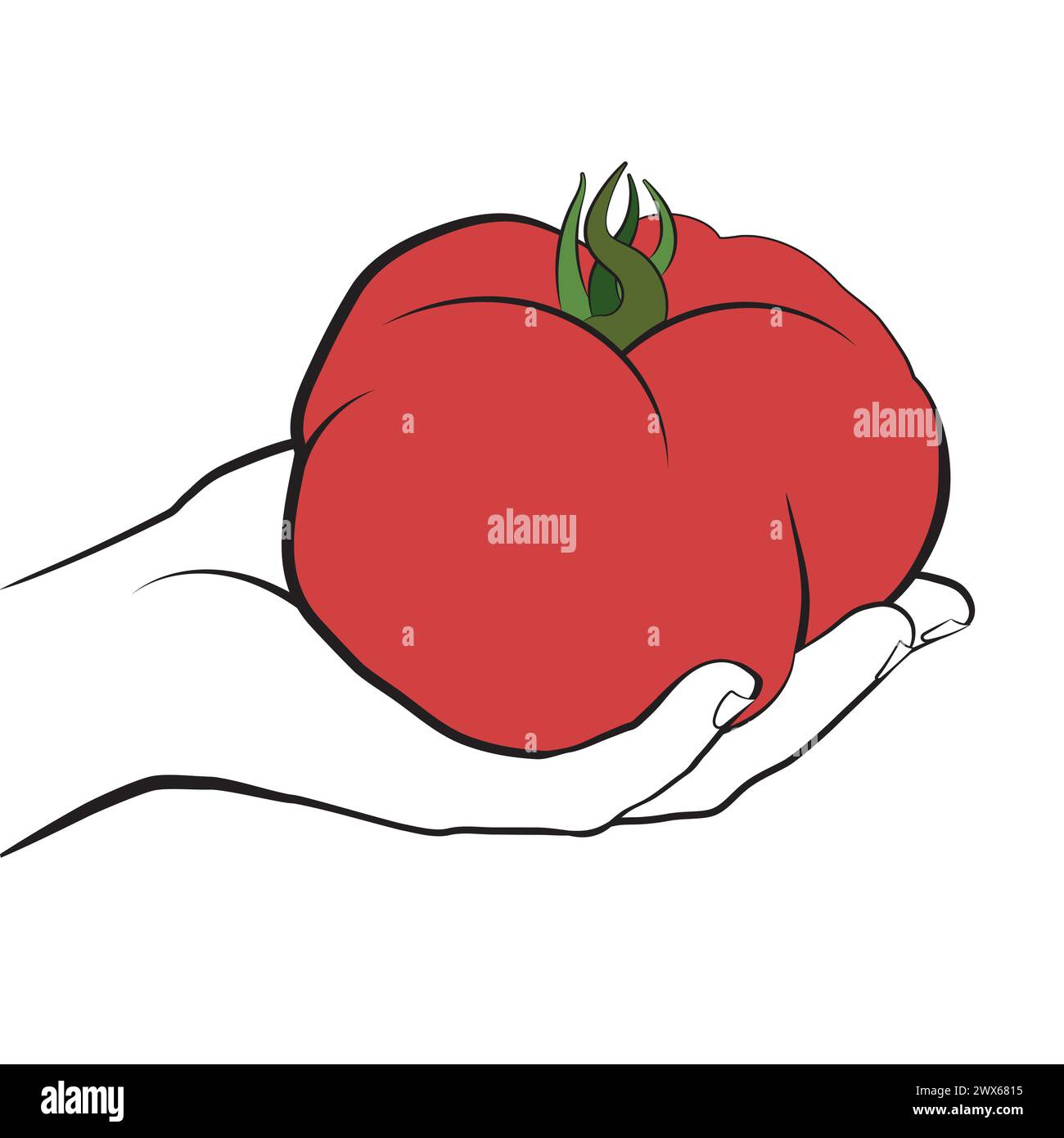 Ox heart Stock Vector Images - Alamy