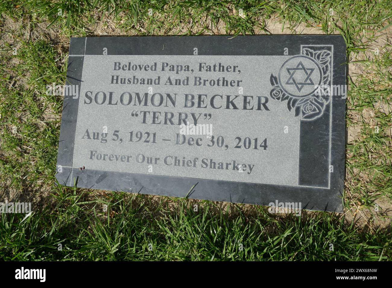 Mission Hills, California, USA 26th March 2024 Actor/Director/Producer Terry Becker Grave at Eden Memorial Park on March 26, 2024 in Mission Hills, California, USA. He worked on Voyage to the Bottom of the Sea, The Mod Squad, Mission Impossible, MASH, Bonanza, Perry Mason, Gunsmoke, and many others. Photo by Barry King/Alamy Stock Photo Stock Photo