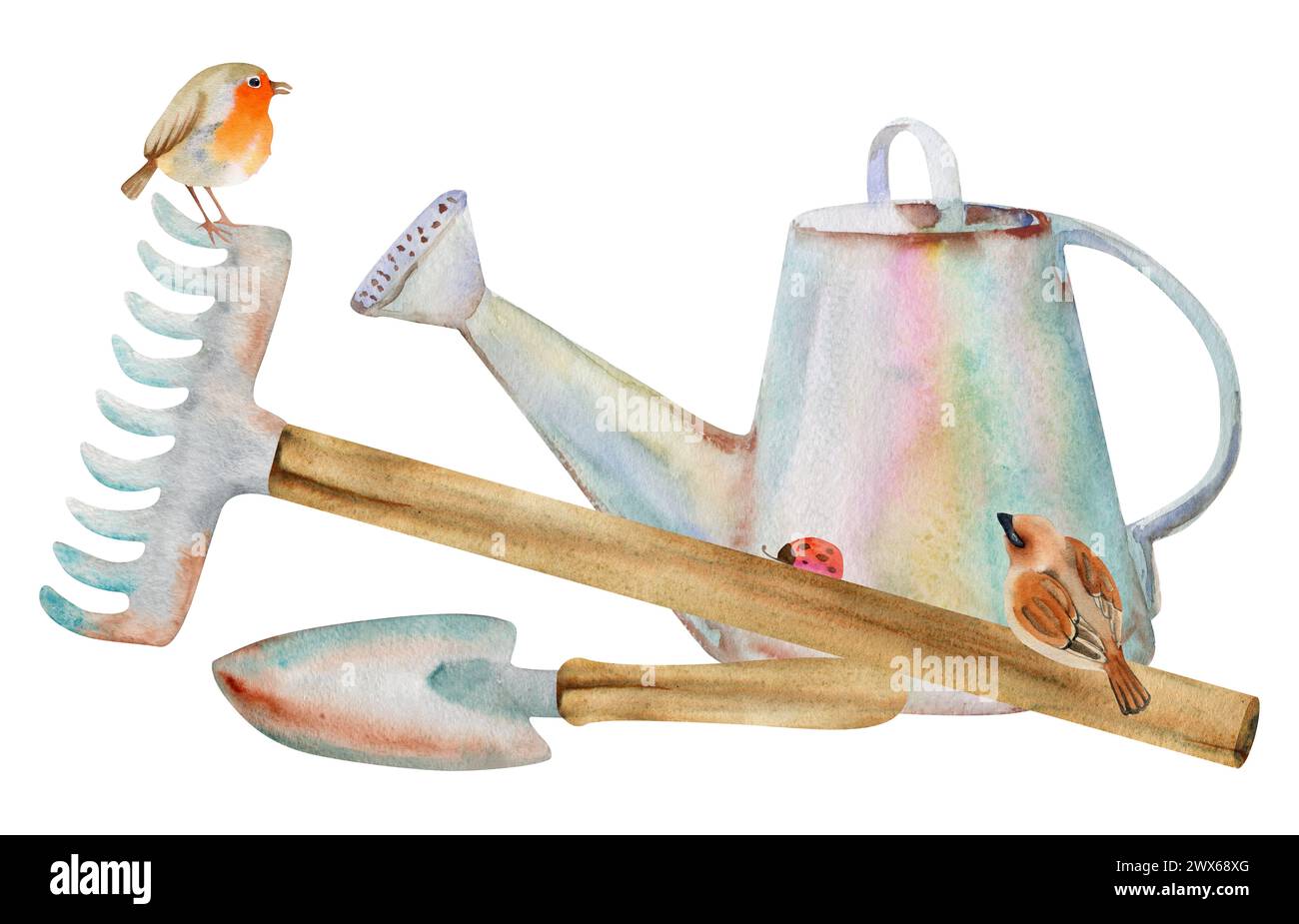 Robin Rake Hand drawn watercolor illustration spring gardening tools, watering can ...