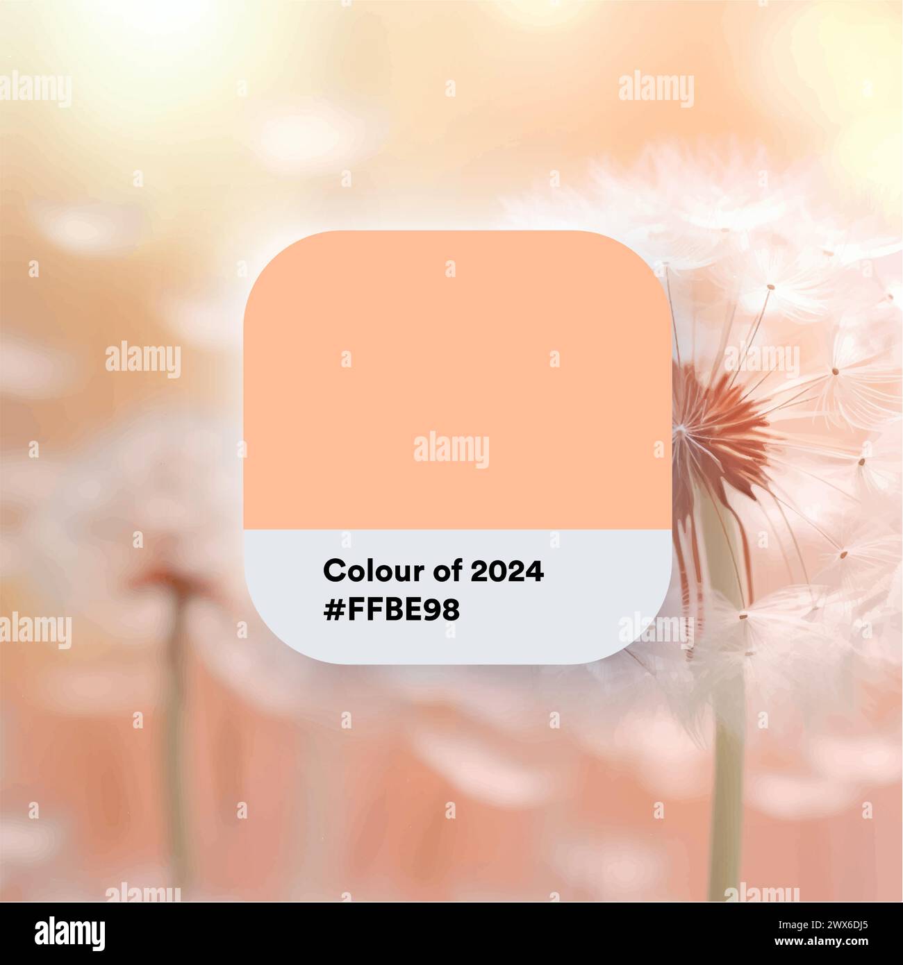 Colors, Pink, Best color 2024, Colors of the year, Mysterious shade