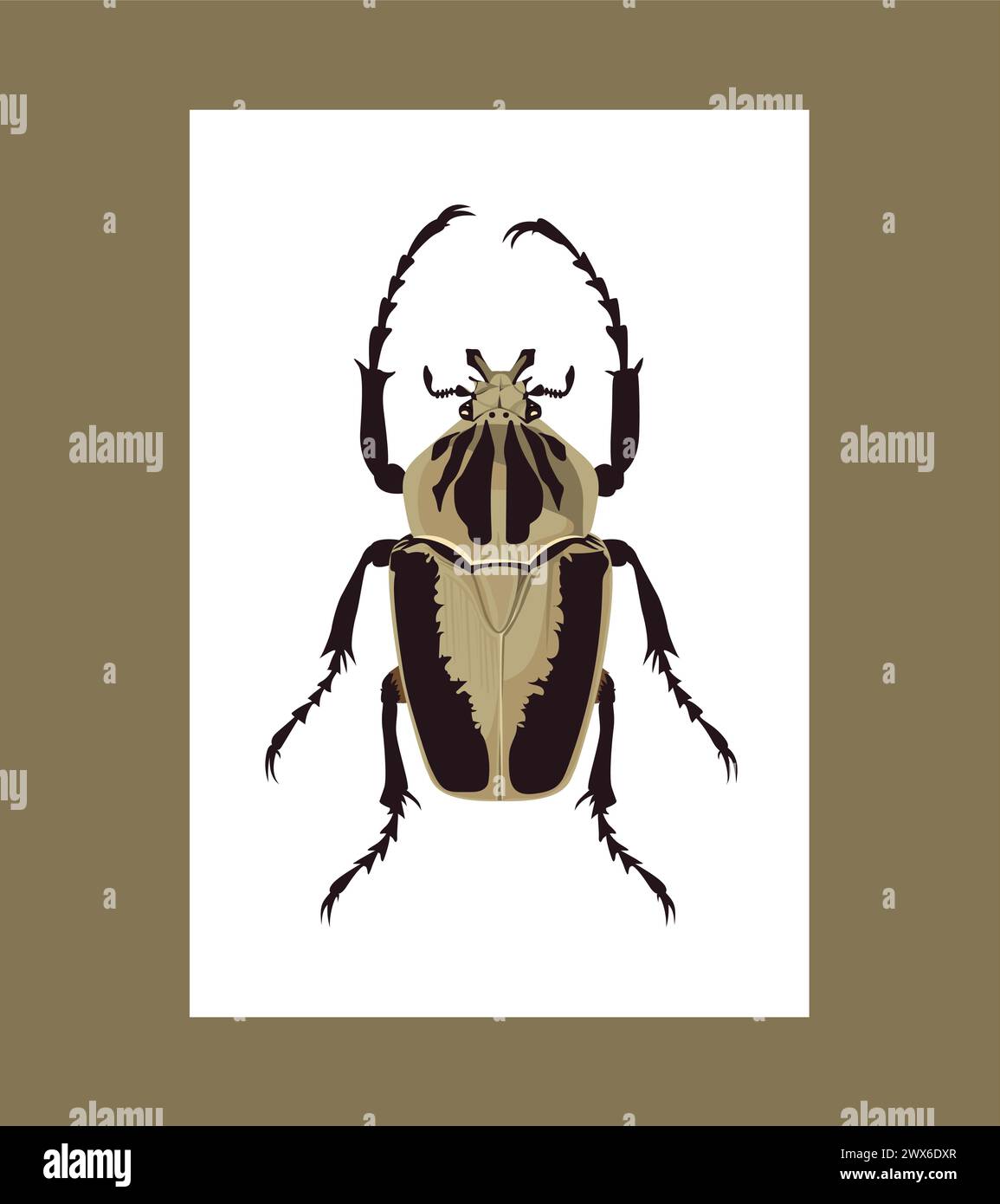 Goliath geant Stock Vector Images Alamy