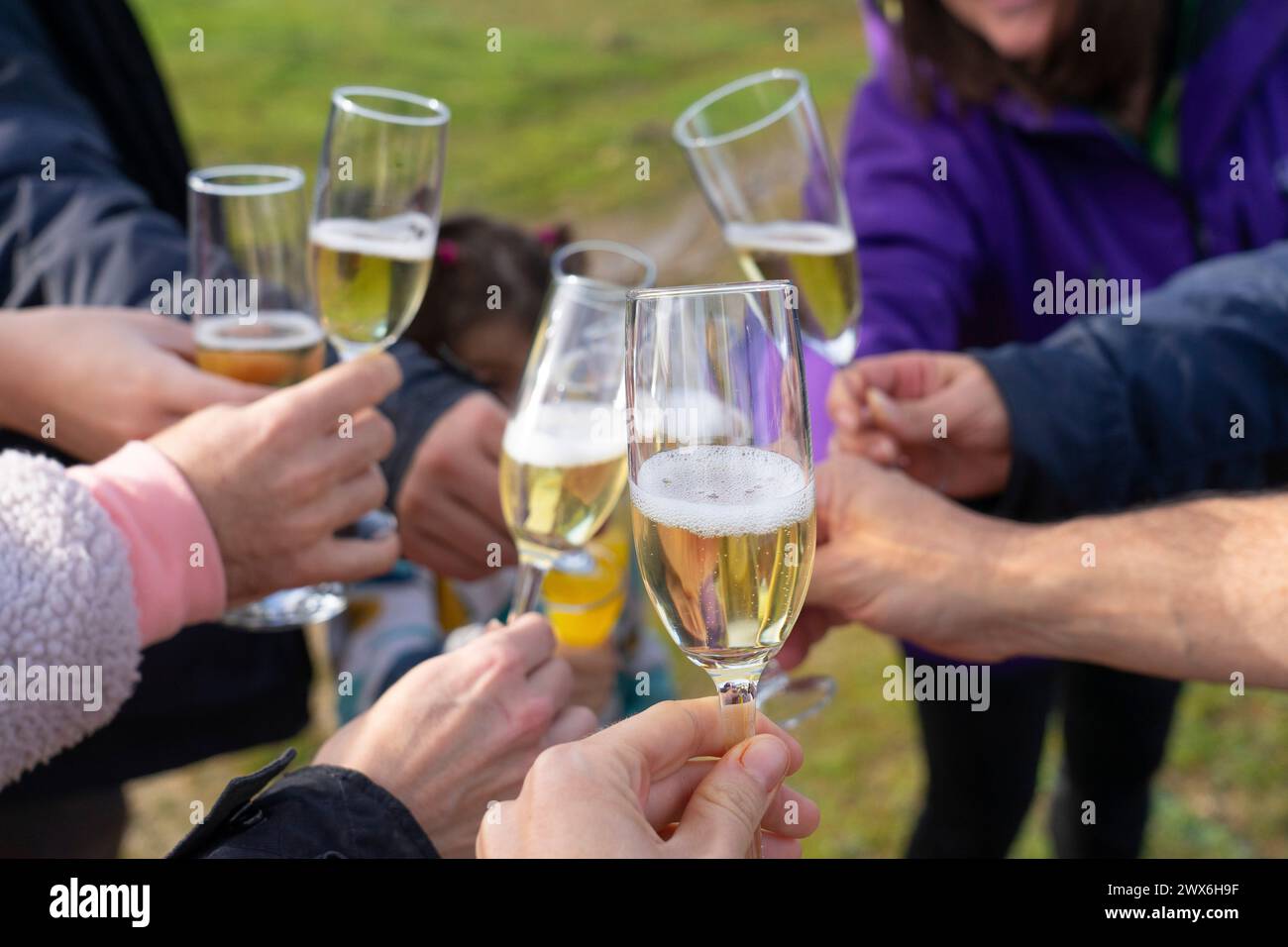 People toasting with champagne outdoors Stock Photo