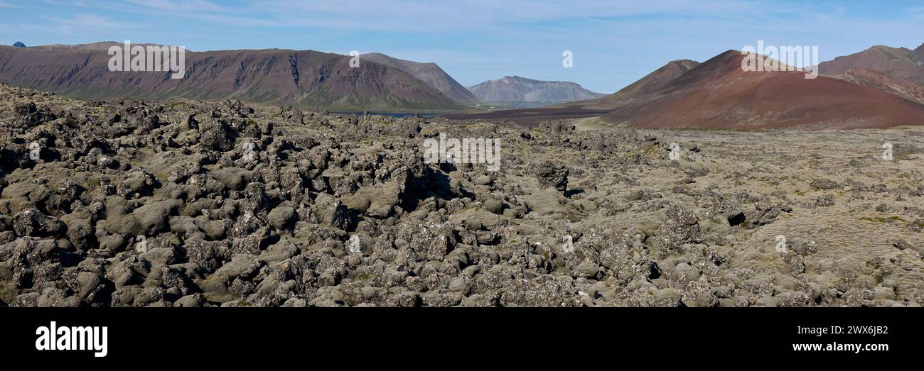 In the foreground a lava field covered with moss, in the background mountains.Helgafellssveit, Iceland. Stock Photo