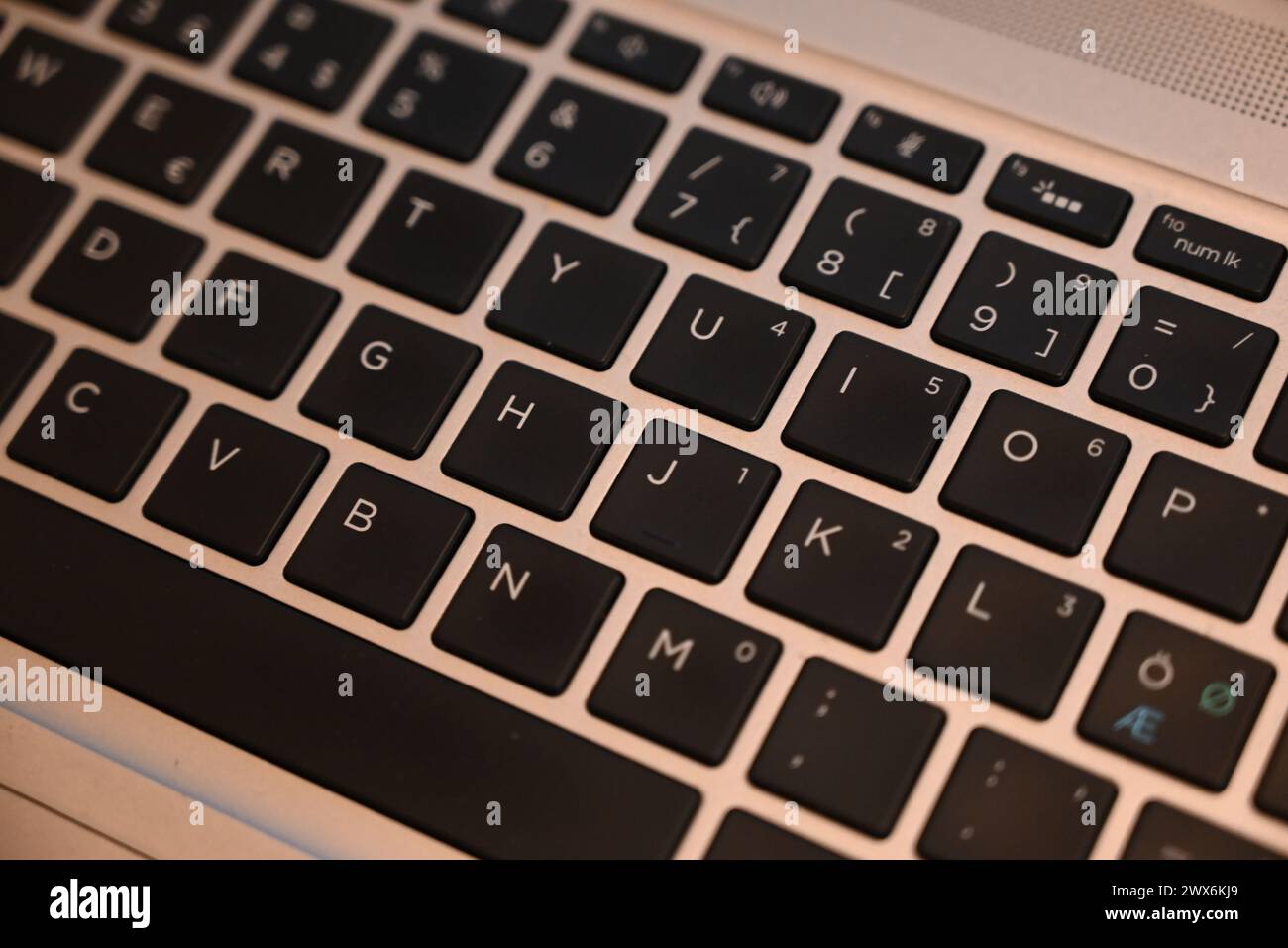 Computer keyboard. Stock Photo