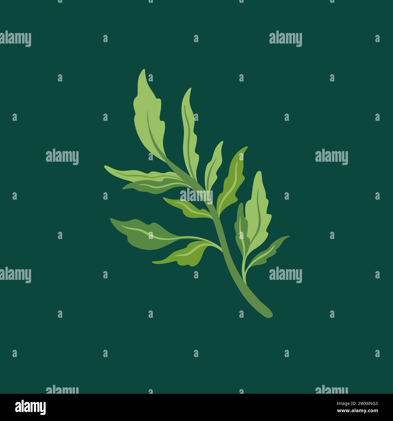 Collection of elegant beautiful tropical plants isolated on background. Cute leaves for decorative design elements. Stock Vector