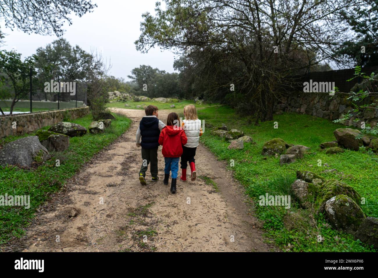 Three children walking through the field together seen from behind Stock Photo