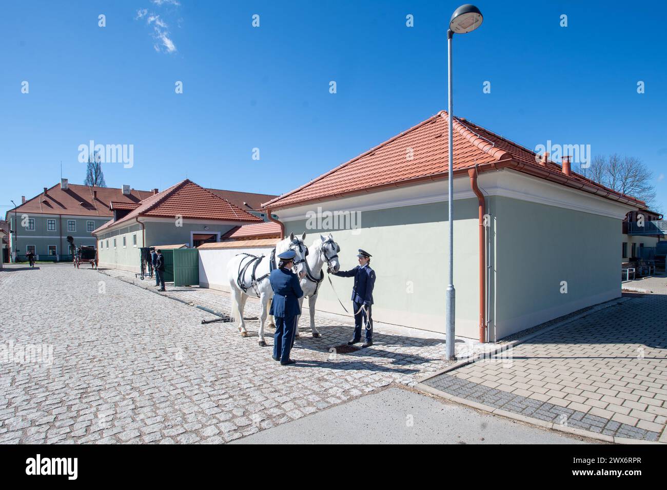 Kladruby Nad Labem, Czech Republic. 28th Mar, 2024. Opening of the renovated listed buildings, which will become the new visitor centre of the National Stud in Kladruby nad Labem, Czech Republic, on March 28, 2024. Credit: Josef Vostarek/CTK Photo/Alamy Live News Stock Photo