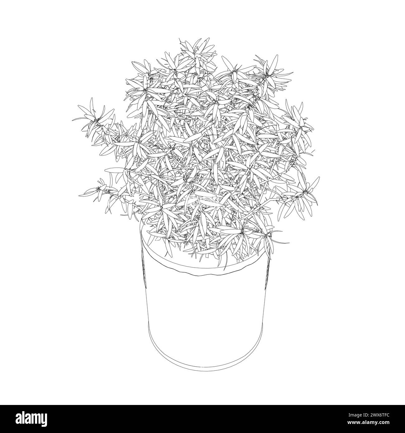 Vector of house plants in pots, outline drawings on a white background. Isometric view. 3D. Stock Vector