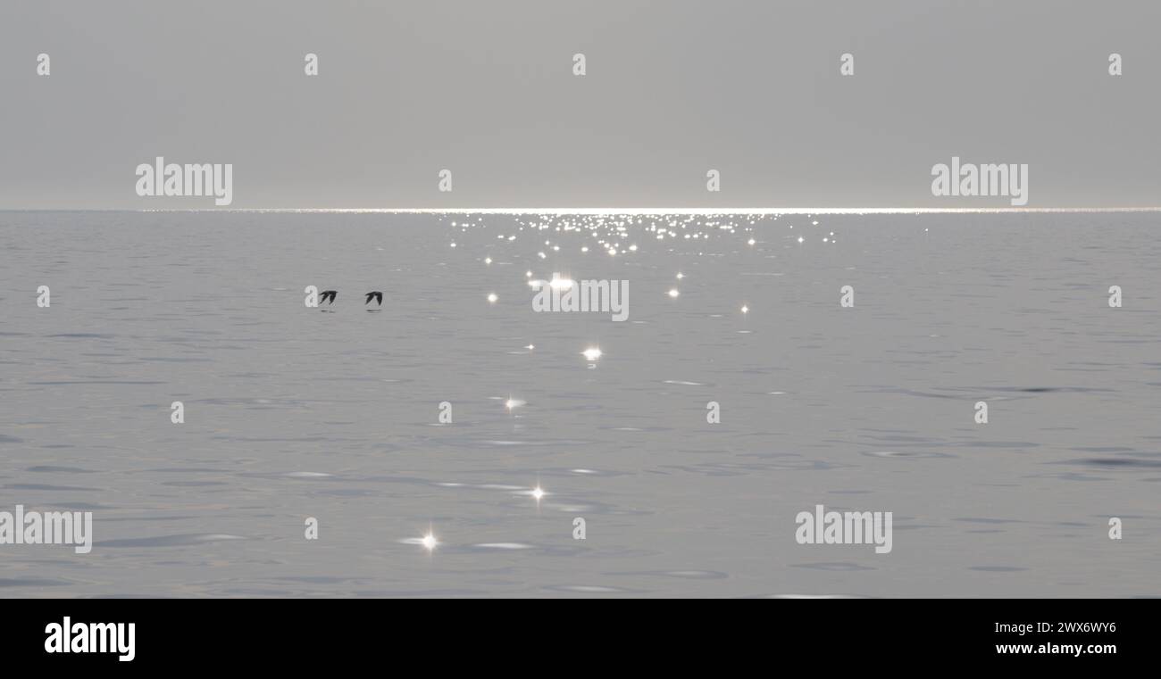 Reflections over the sea hi-res stock photography and images - Alamy