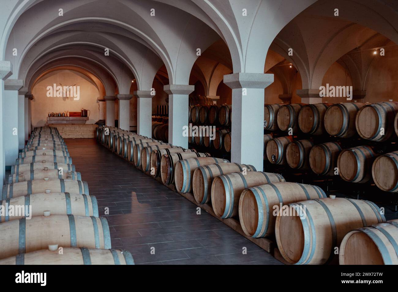 wine celler in zala county Hungary elegant with many barrels . Stock Photo