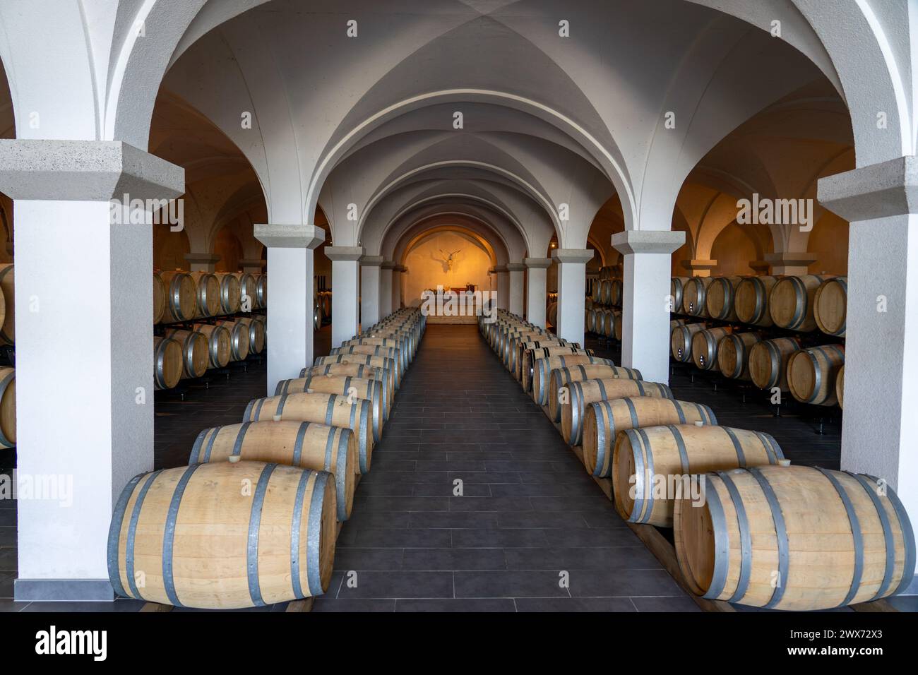 wine celler in zala county Hungary elegant with many barrels . Stock Photo
