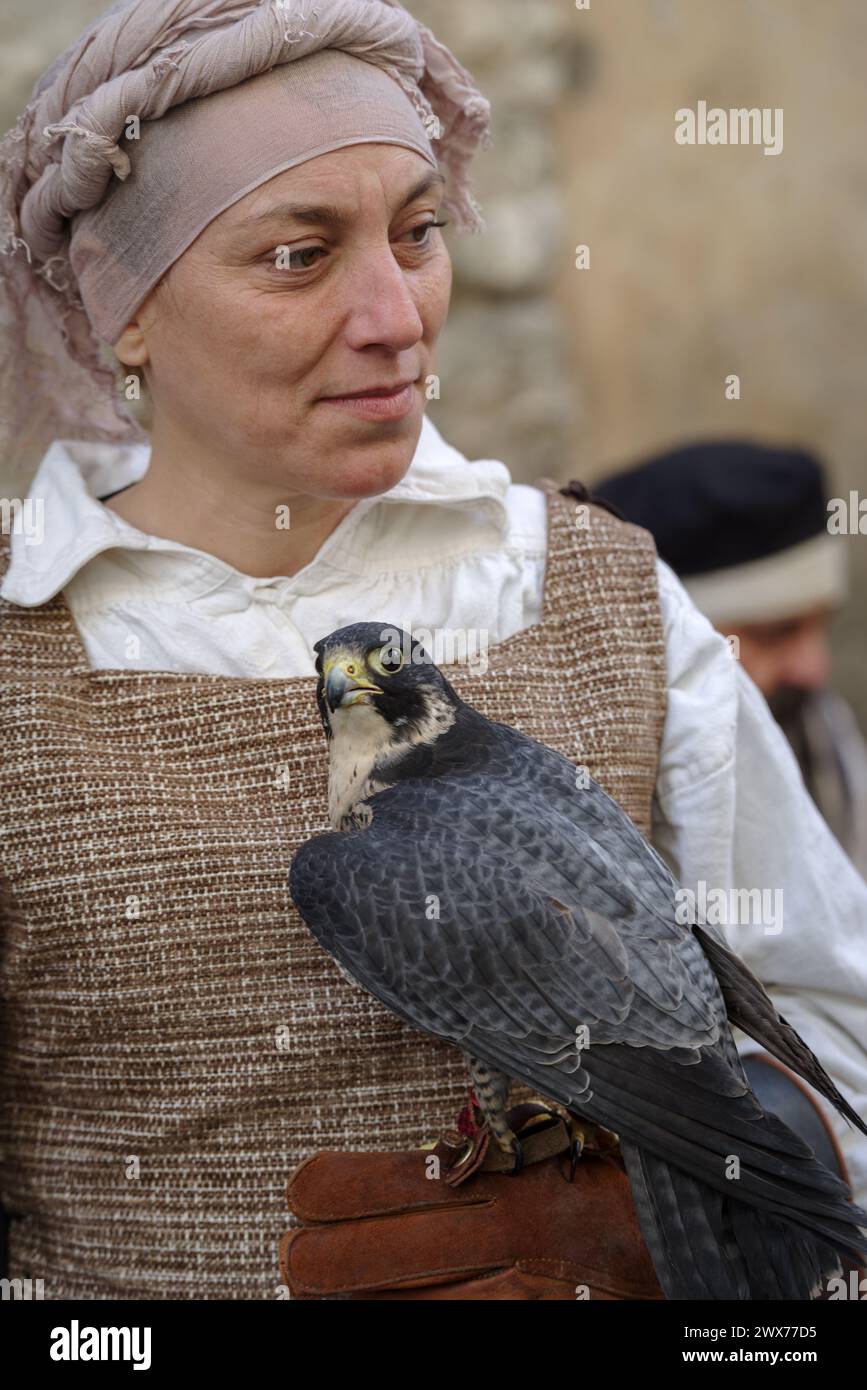 Falconry display at the festival with various birds of prey Taggia, Liguria region, Italy Stock Photo