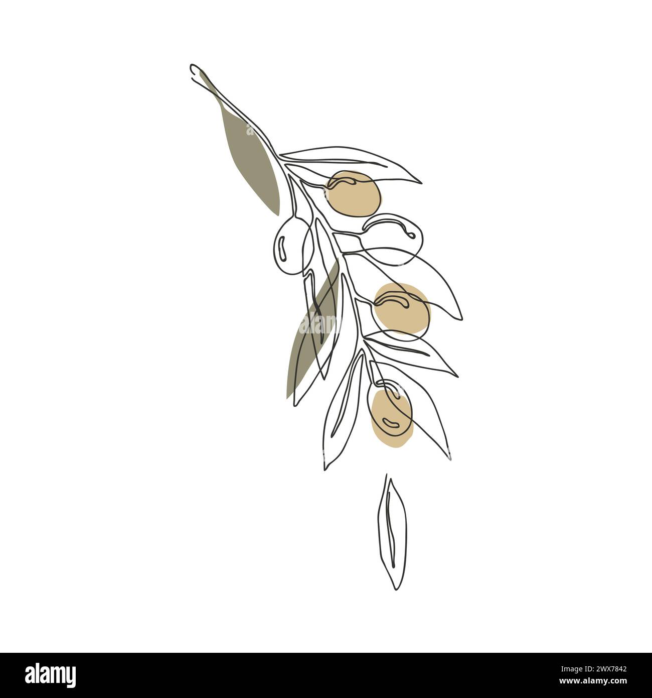 Olive branch with golden fruits, continuous line drawing. Hand drawn floral template, vector isolated illustration Stock Vector