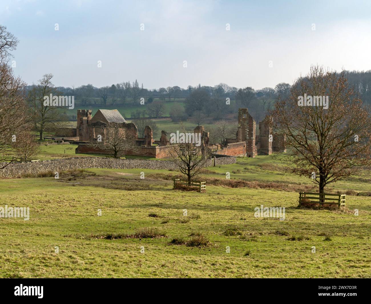 Distant view of the ruins of Bradgate House (also known as Lady Jane Grey's House) amongst trees in Bradgate Park, Leicestershire, England, UK Stock Photo
