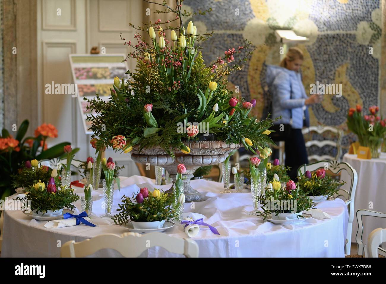Buchlovice, Czech Republic. 28th Mar, 2024. Traditional exhibition of tulips called Tulipomania starts at the castle Buchlovice, Czech Republic, March 28, 2024. Flower arrangements at castle interiors. Credit: Dalibor Gluck/CTK Photo/Alamy Live News Stock Photo