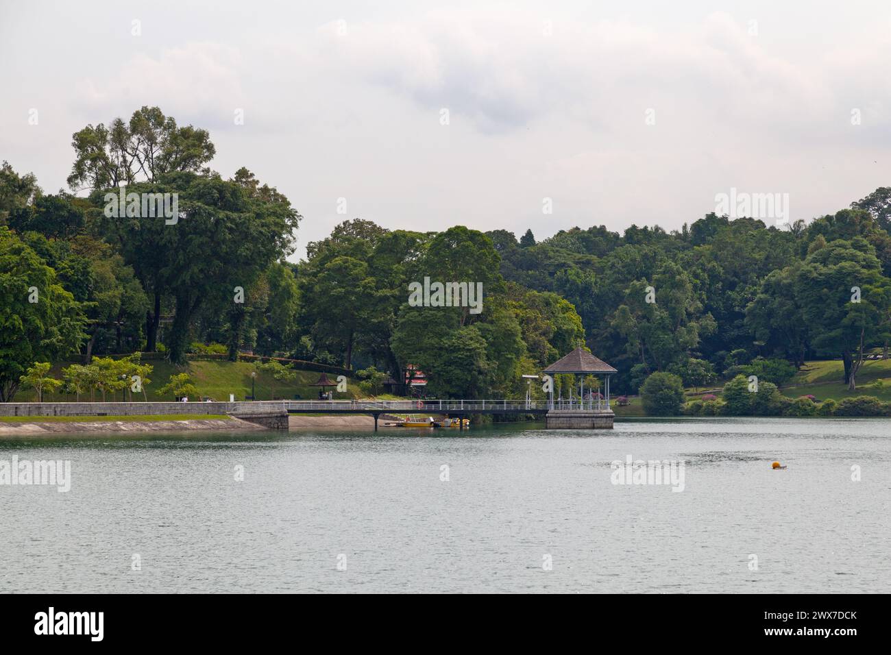 The MacRitchie Reservoir in Singapore. The reservoir was completed in