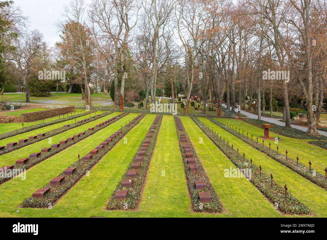 Kriegsgräber auf dem Trinitatisfriedhof Riesa, Sachsen, Deutschland *** War graves at the Trinitatisfriedhof Riesa, Saxony, Germany Stock Photo