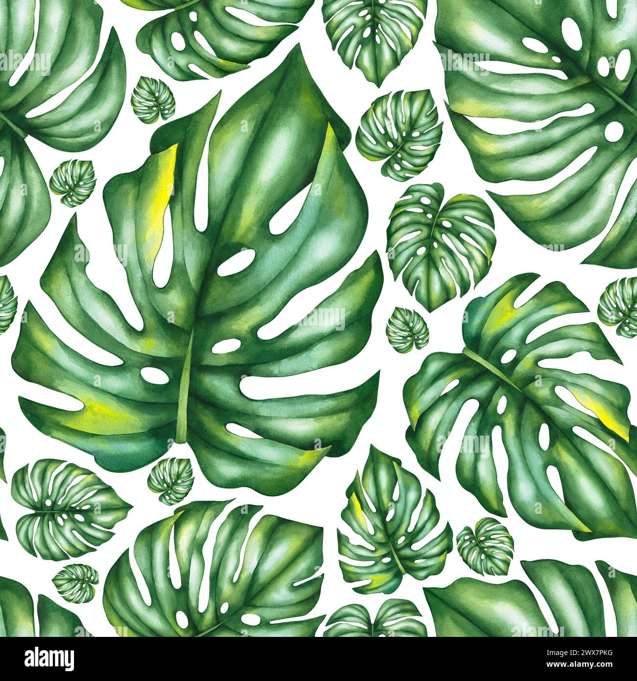 Tropical leaves wallpapers hi-res stock photography and images - Alamy