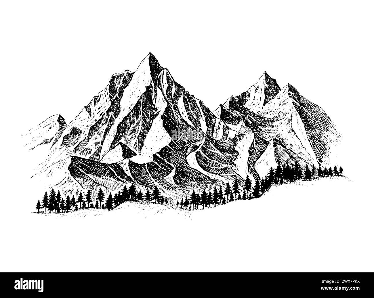 Mountain with pine trees and landscape black on white background. Hand ...