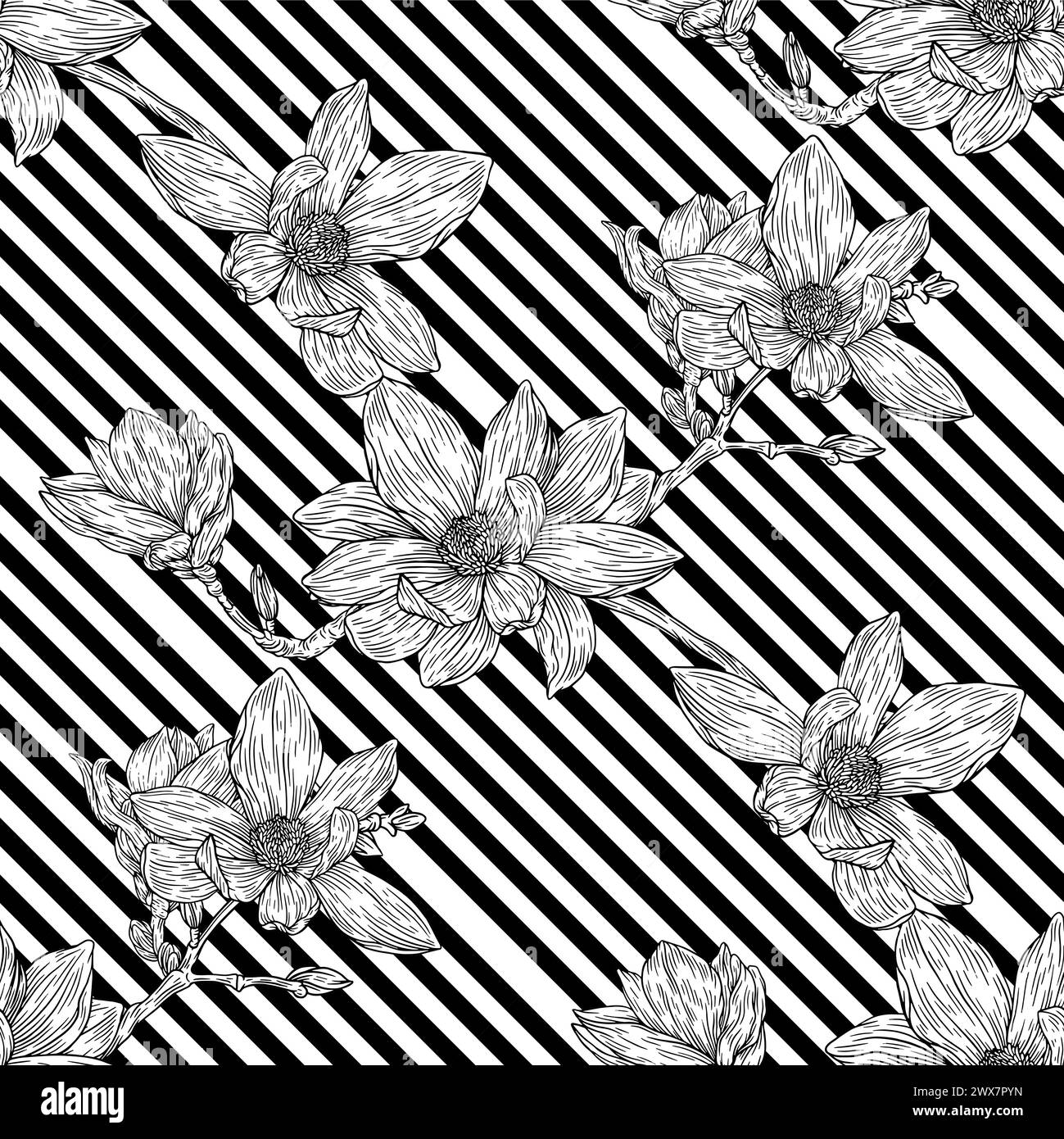 Flowers Seamless Pattern . Line Magnolia Illustrations. Vintage