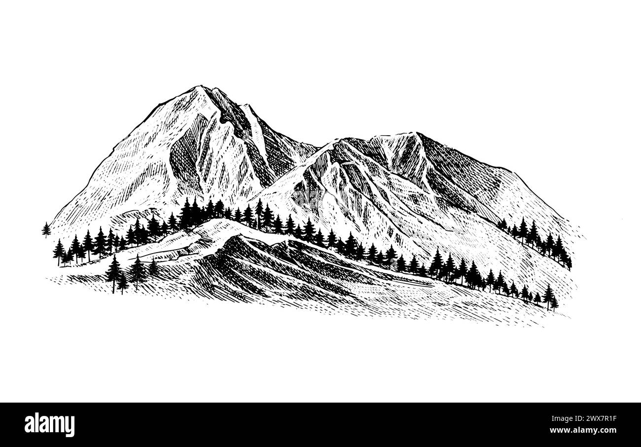 Mountain with pine trees and landscape black on white background. Hand ...