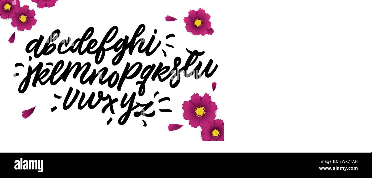 Vector hand drawn alphabet isolated on white background. Brush painted ...