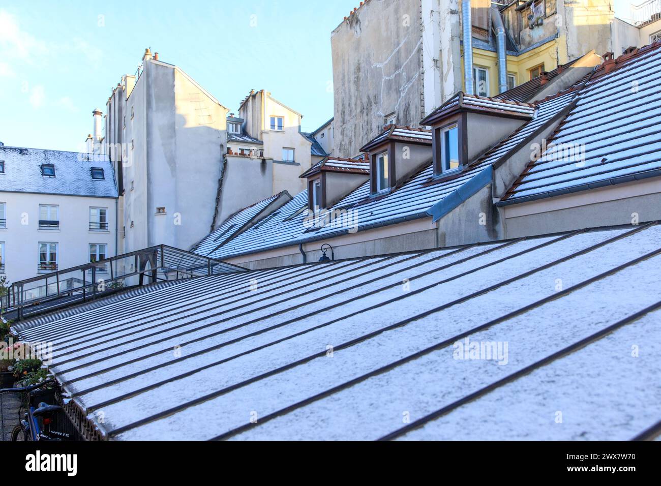 France, Ile-de-France region, Paris, 2nd arrondissement, Passage du Grand Cerf, above the glass roof, in very cold weather, Stock Photo