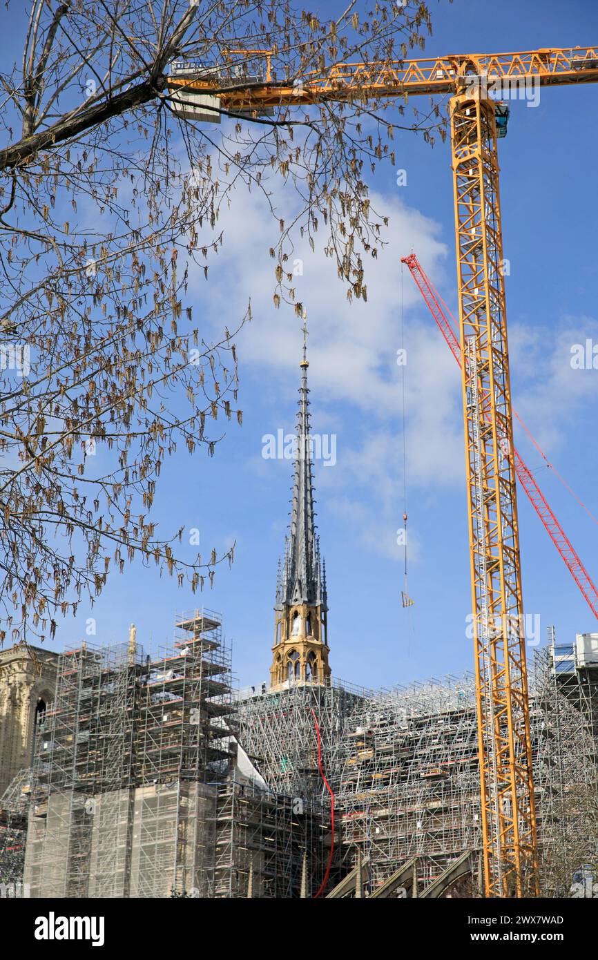 France, Ile-de-France region, Paris rive Gauche, 5th arrondissement, quai de Montebello, view over Notre-Dame de Paris cathedral and its new spire. 19 March 2024 Stock Photo