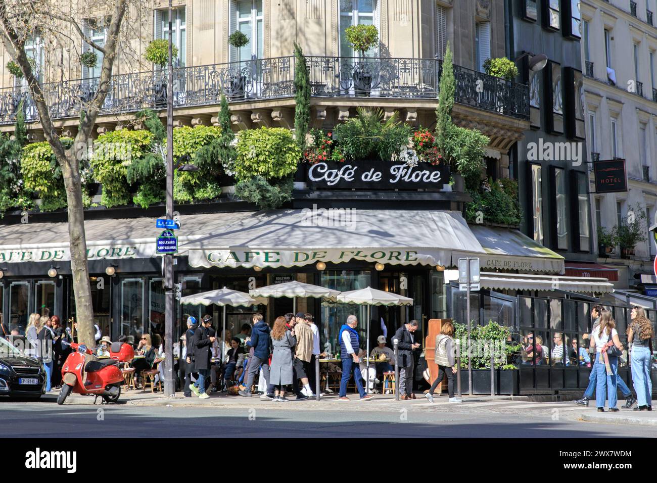 France, Ile-de-France region, Paris rive Gauche, Montparnasse, 6th arrondissement, boulevard Saint-Germain, 'Café de Flore', 19 March 2024 Stock Photo