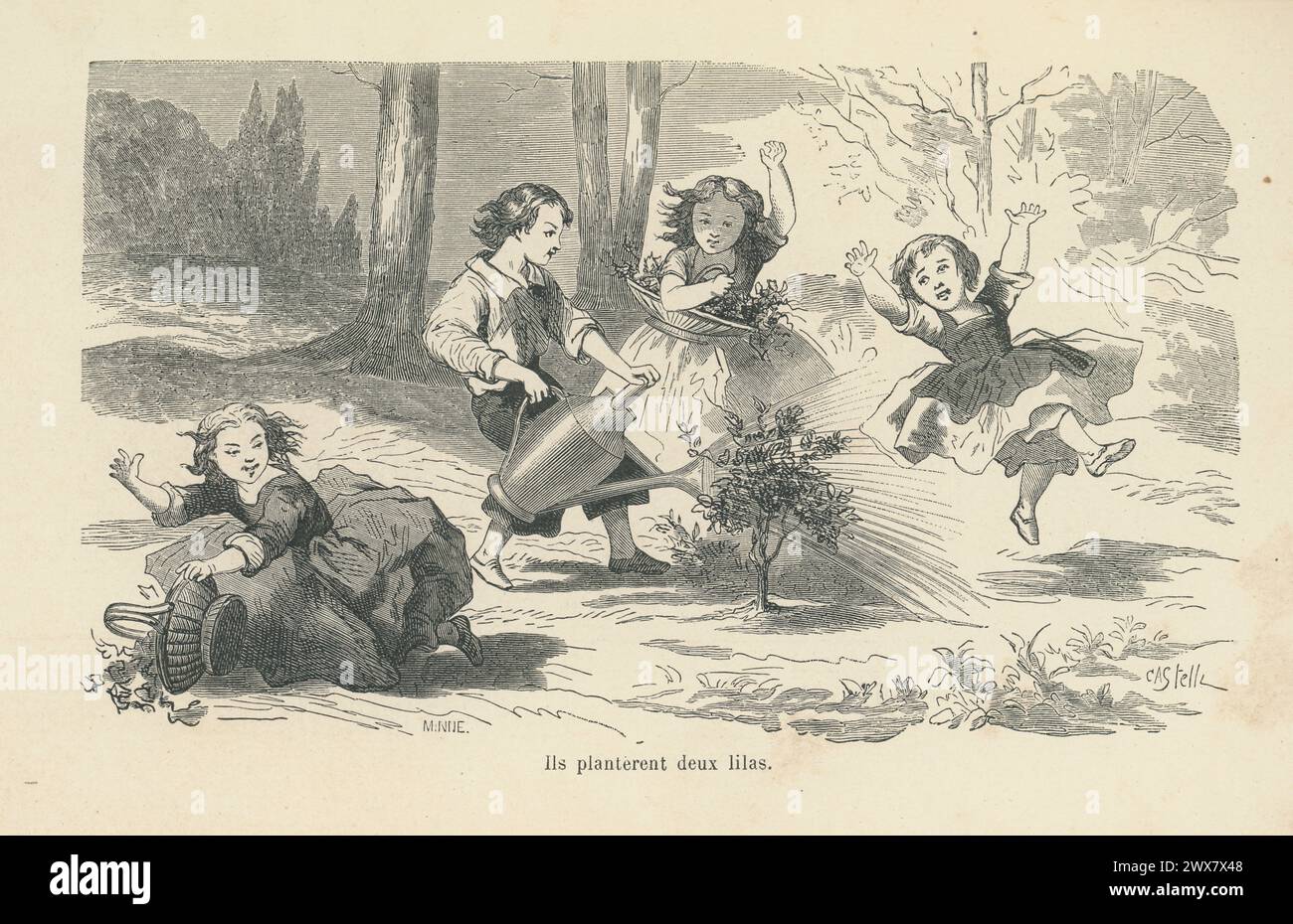'They raked the area and planted two lilacs there.'  Illustration from 'Les malheurs de Sophie', written by the Countess of Ségur in 1858. 1880 edition illustrated by Horace Castelli and published by Hachette. Stock Photo