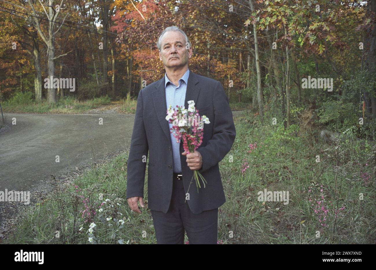 Broken Flowers  Year: 2005 USA Bill Murray  Director: Jim Jarmusch Stock Photo
