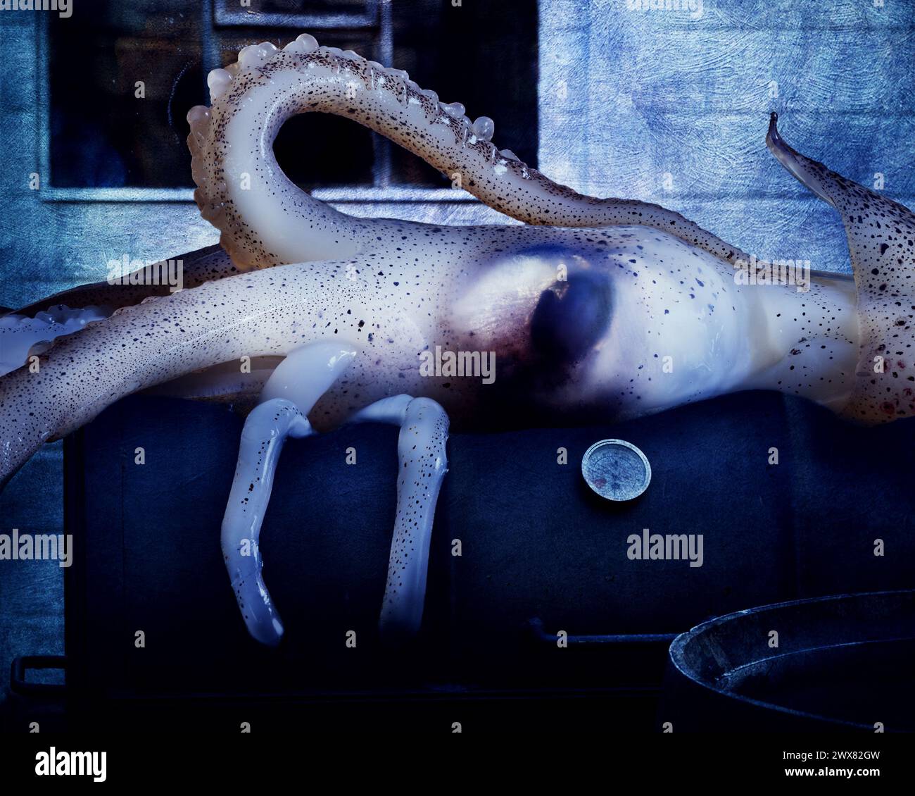 the calamari is revolting! A composite photograph featuring an oversized squid resting on a barbecue in a garden. Stock Photo