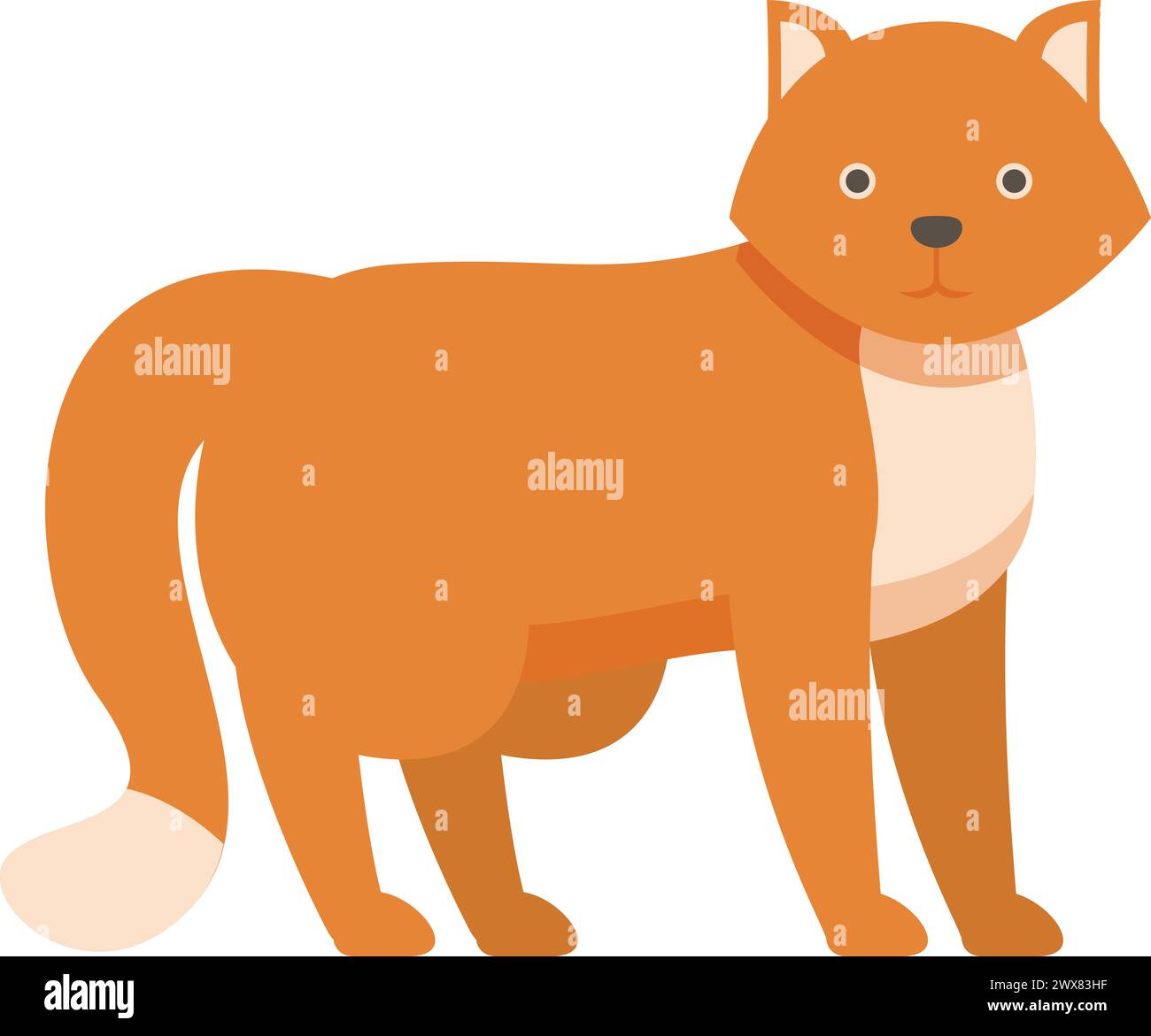 Cat care pet icon cartoon vector. Chance feline adopt. Spaniel smile