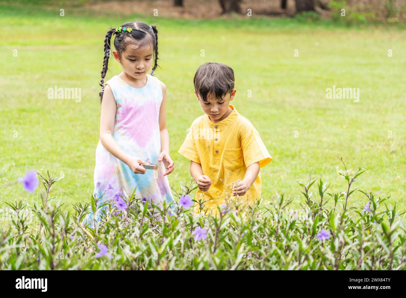 Two kids playing in a field with purple flowers in the background Stock ...