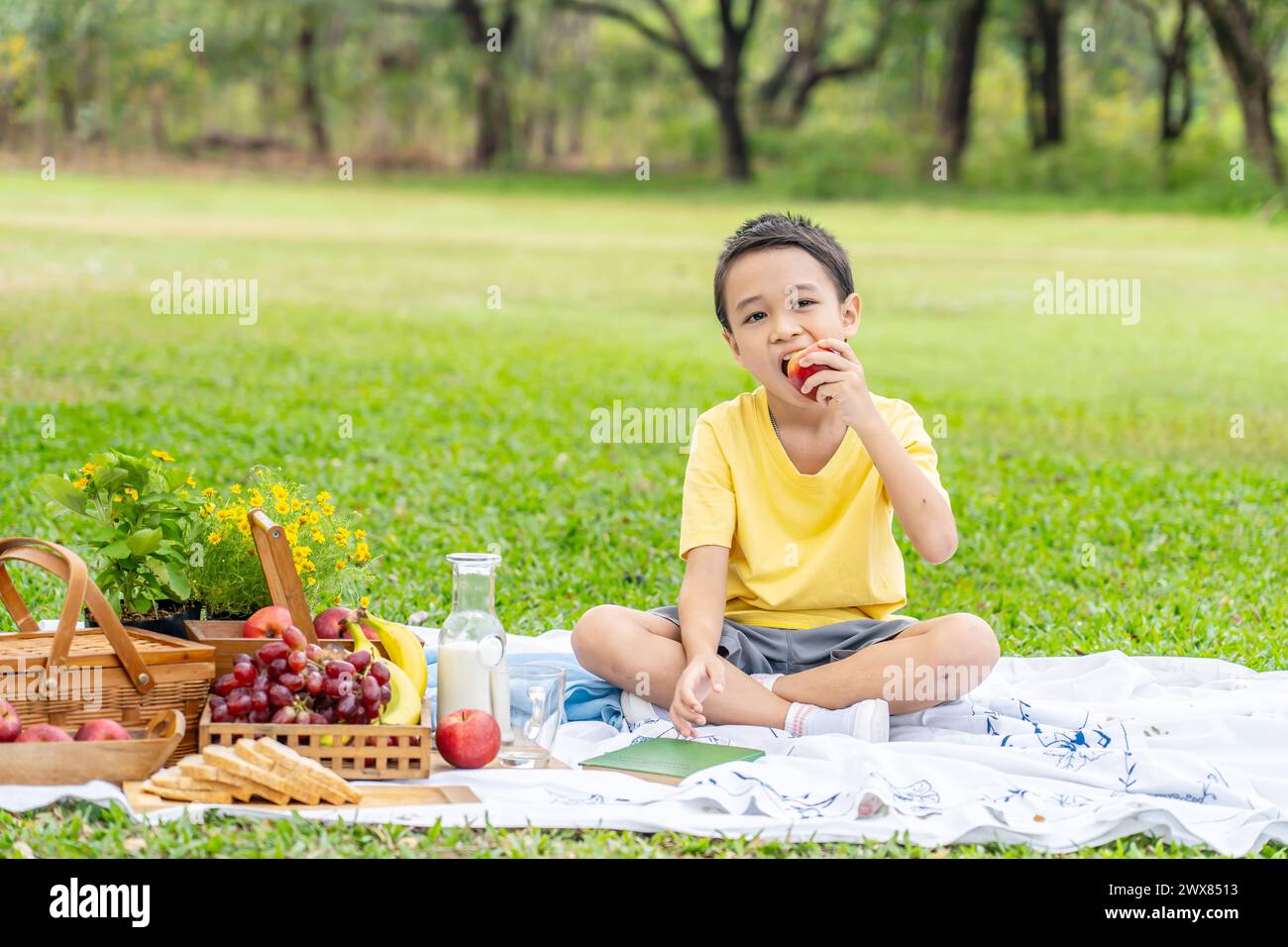 A child enjoying an apple and berries on a picnic blanket with assorted food Stock Photo