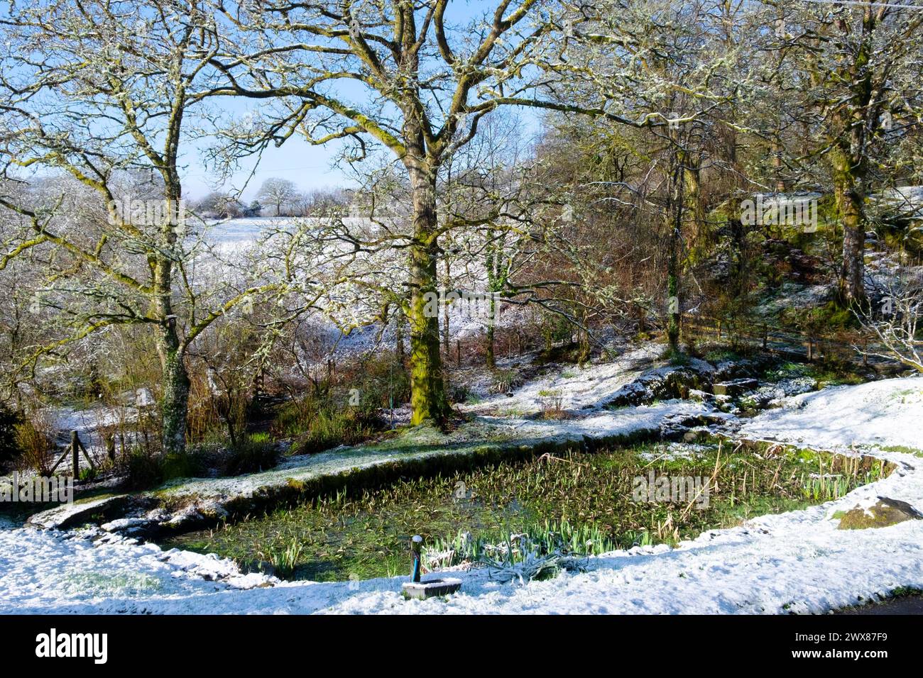 Sunny morning in early spring with snow on ground around a garden pond ...