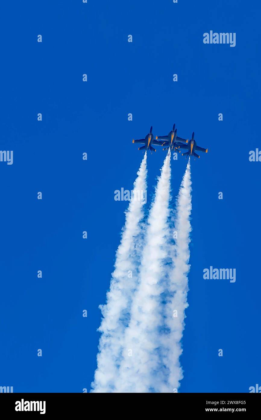 El Centro, Ca, USA. 1st Mar, 2024. March 01, 2024-El Centro, CA: Blue Angels rehearse precision aerobatics before season debut, showcasing skill and teamwork in high-flying maneuvers. (Credit Image: © Kenneth Weisenberger Grindstone/ASP) EDITORIAL USAGE ONLY! Not for Commercial USAGE! Stock Photo