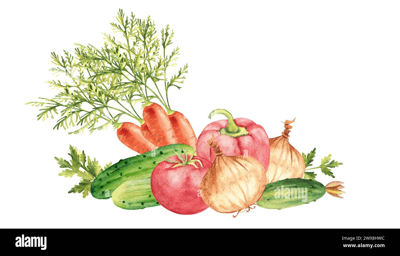 Vegetable composition. Salad set of cucumbers, tomato and paprika. Carrot and onion, parsley plant. Hand drawn botanical watercolor illustration Stock Photo