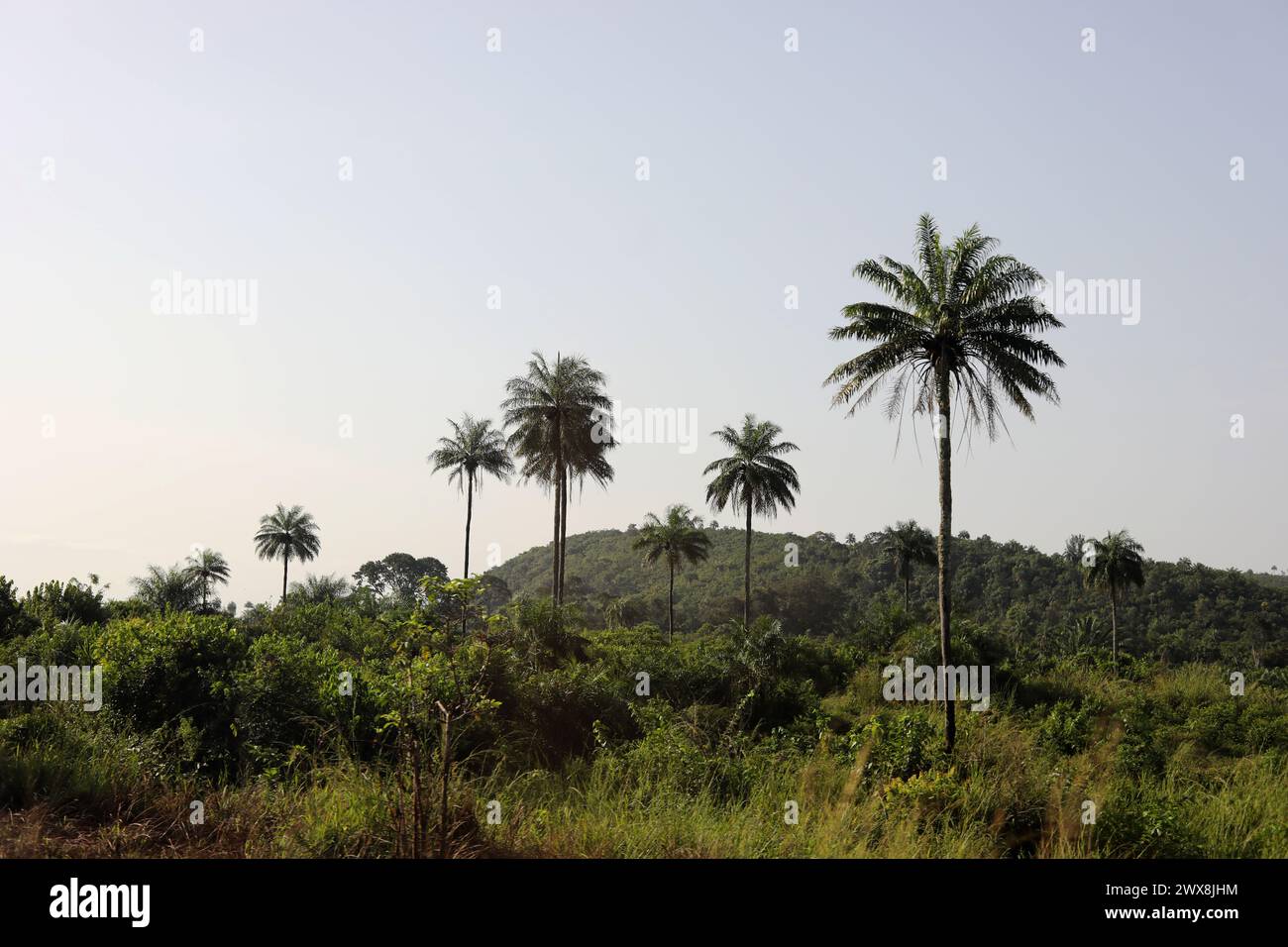 General views of Sierra Leone in Africa Stock Photo - Alamy