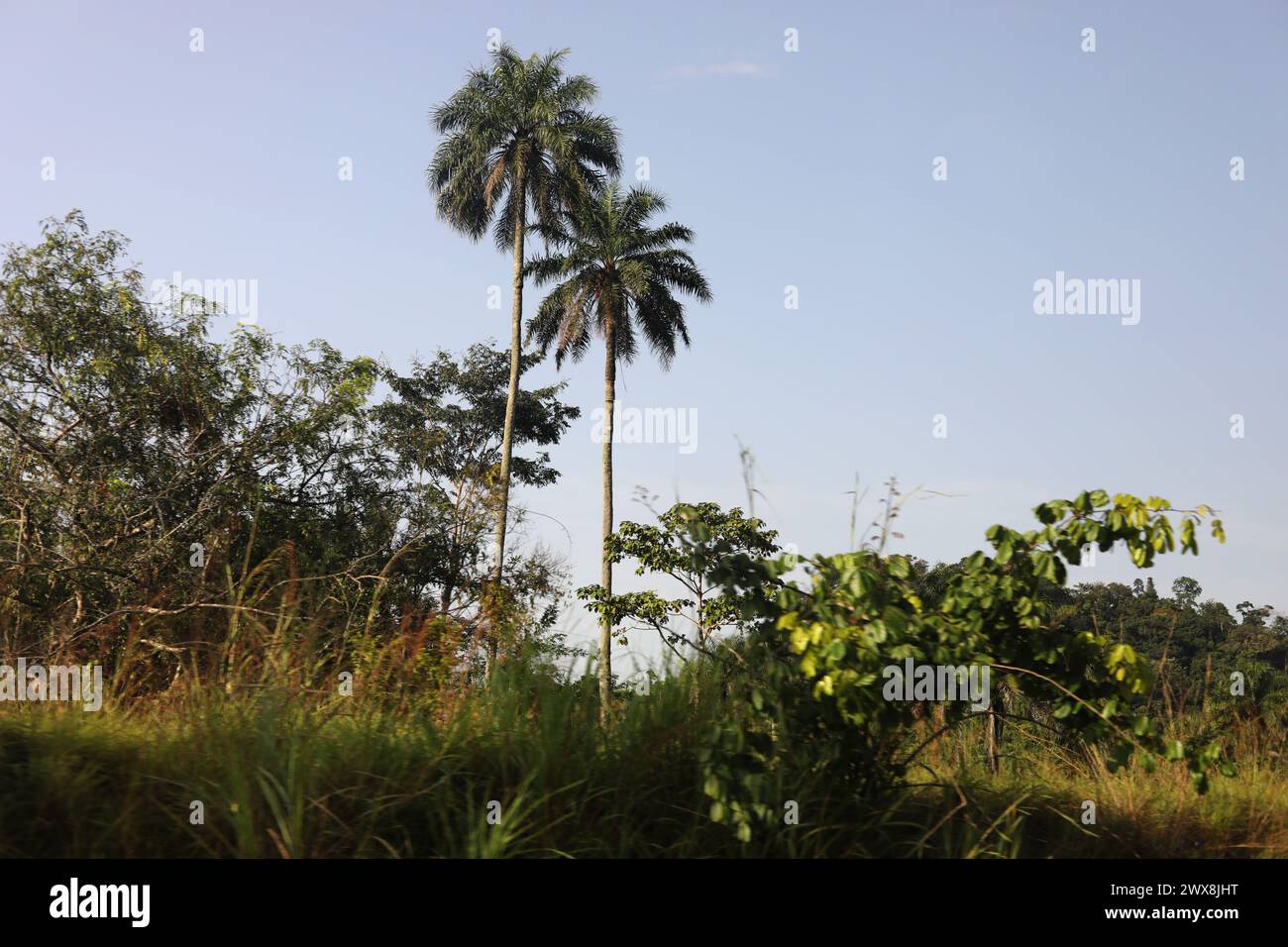 General views of Sierra Leone in Africa Stock Photo - Alamy