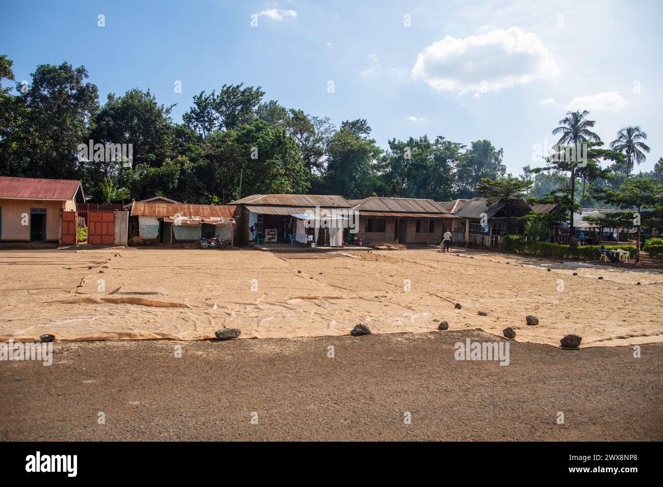 Arusha,Tanzania,Africa. 02 february 2022. near the house, rice was laid out for drying in the sun on large material Stock Photo
